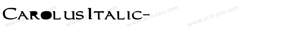 Carolus Italic字体转换